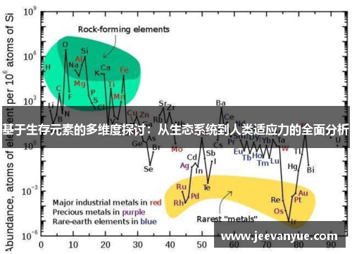 基于生存元素的多维度探讨：从生态系统到人类适应力的全面分析